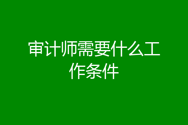 审计师需要什么工作条件