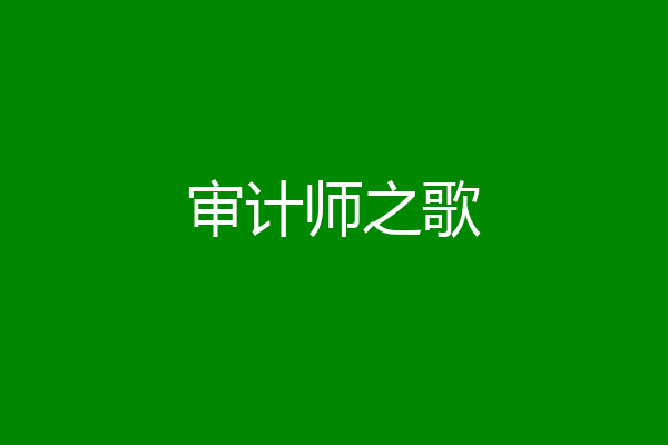 审计师之歌