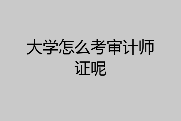 大学怎么考审计师证呢