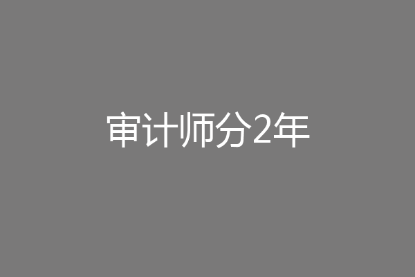 审计师分2年
