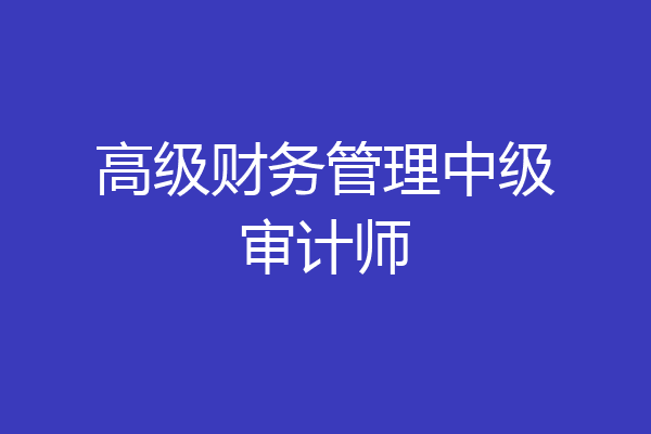 高级财务管理中级审计师