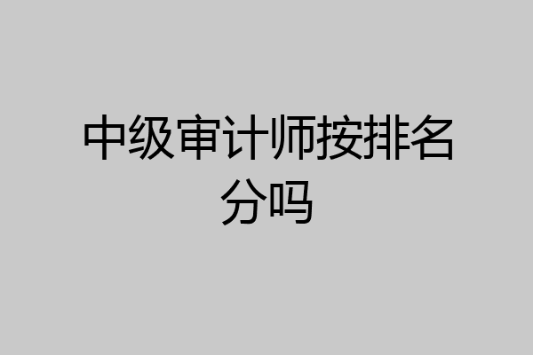中级审计师按排名分吗