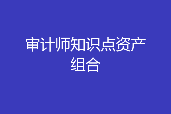 审计师知识点资产组合