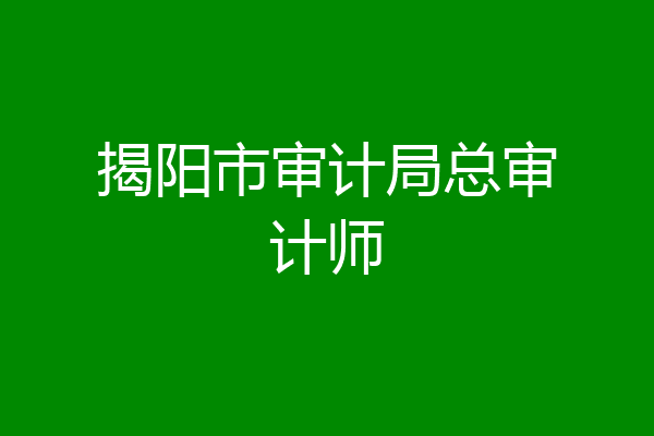 揭阳市审计局总审计师