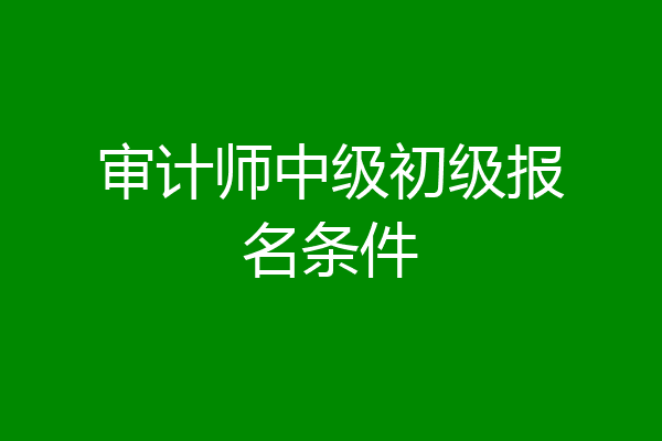 审计师中级初级报名条件