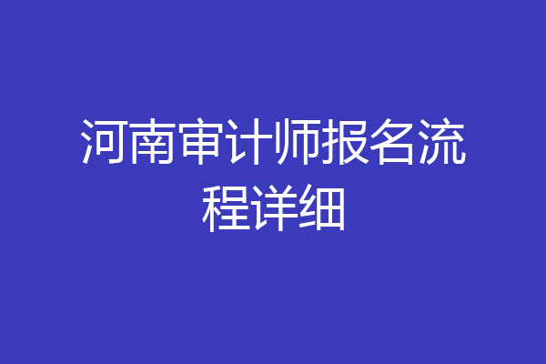 河南审计师报名流程详细
