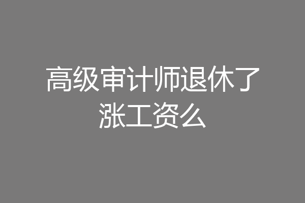 高级审计师退休了涨工资么