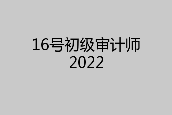 16号初级审计师2022