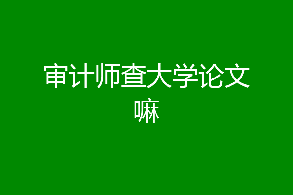审计师查大学论文嘛