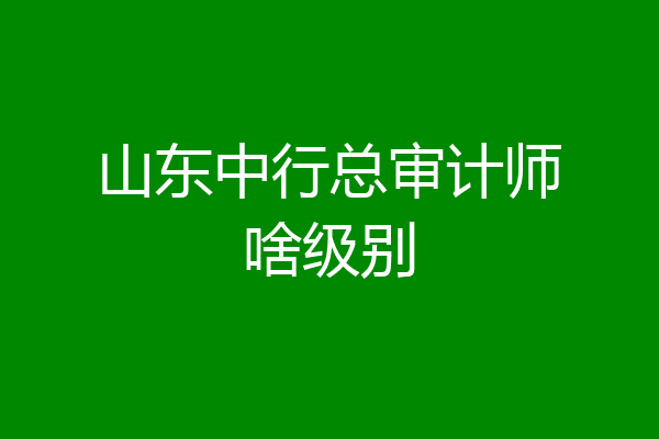 山东中行总审计师啥级别