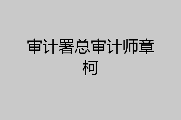 审计署总审计师章柯