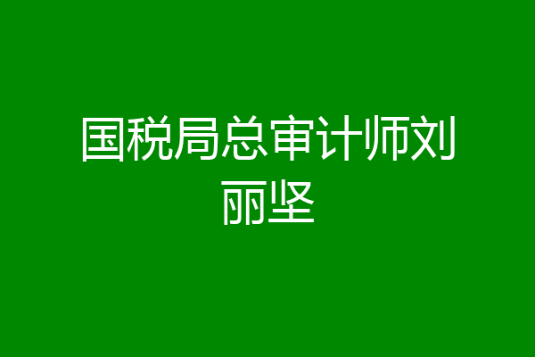 国税局总审计师刘丽坚