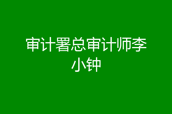 审计署总审计师李小钟