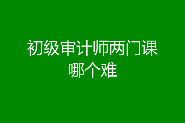 初级审计师两门课哪个难