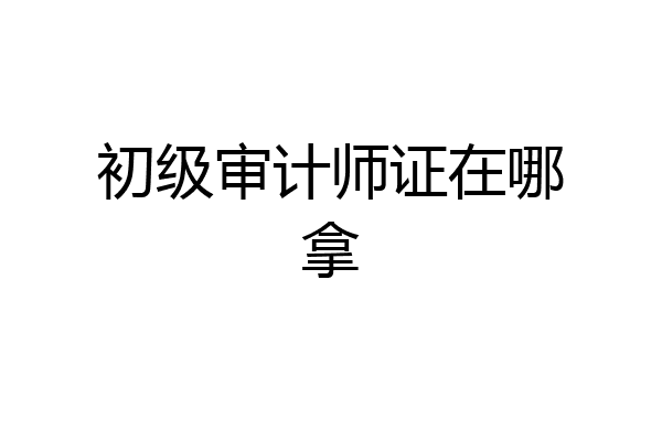 初级审计师证在哪拿