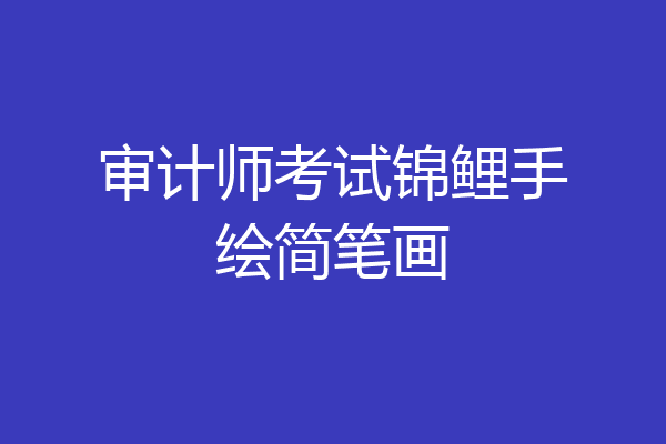 审计师考试锦鲤手绘简笔画