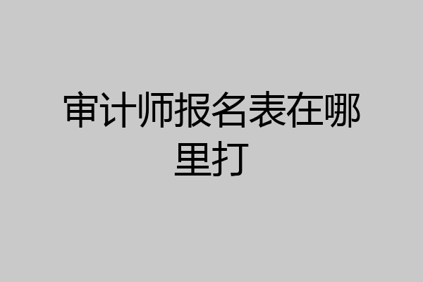 审计师报名表在哪里打