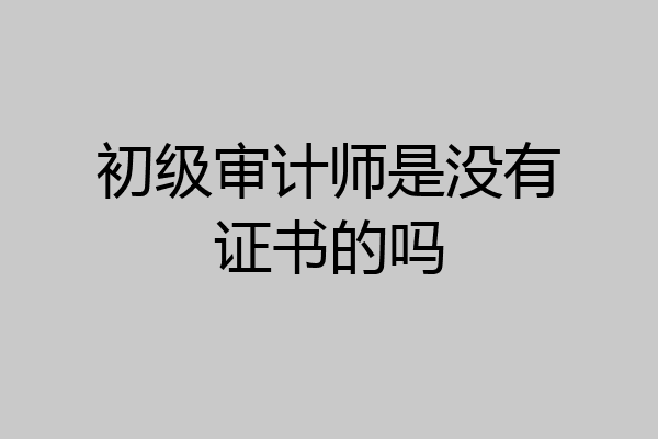 初级审计师是没有证书的吗