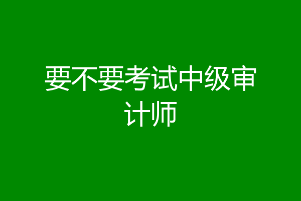 要不要考试中级审计师