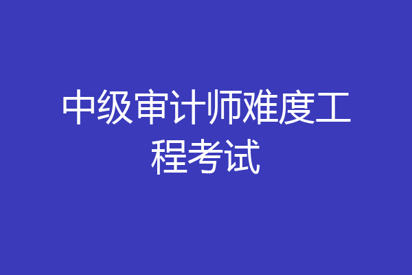 中级审计师难度工程考试