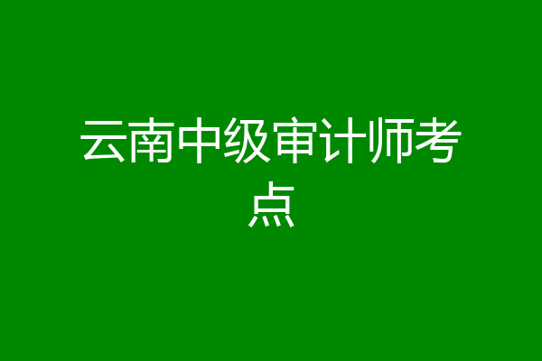 云南中级审计师考点