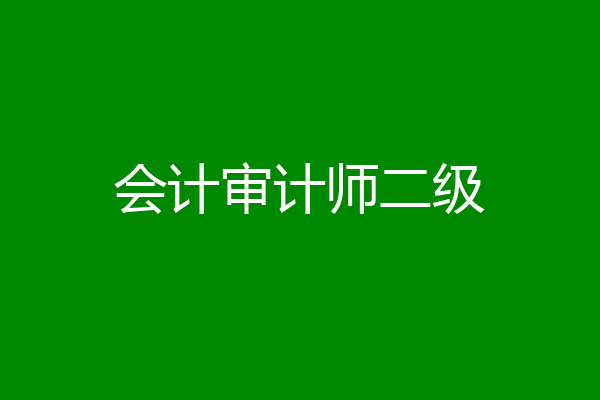 会计审计师二级