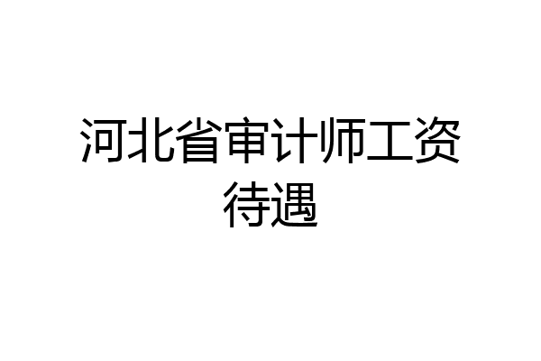 河北省审计师工资待遇
