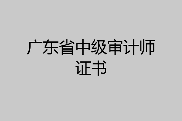 广东省中级审计师证书