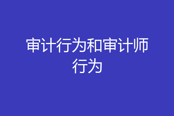 审计行为和审计师行为