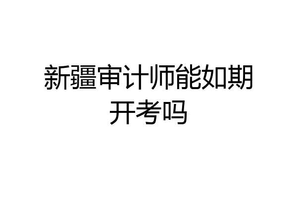 新疆审计师能如期开考吗