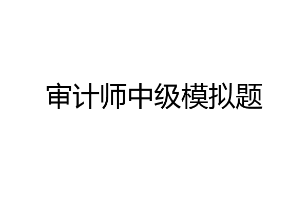 审计师中级模拟题