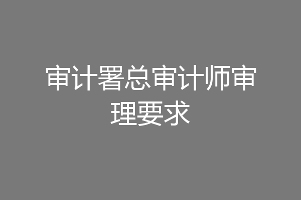 审计署总审计师审理要求