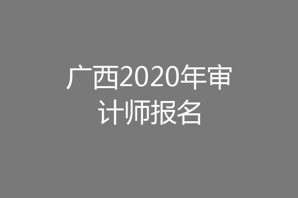 广西2020年审计师报名