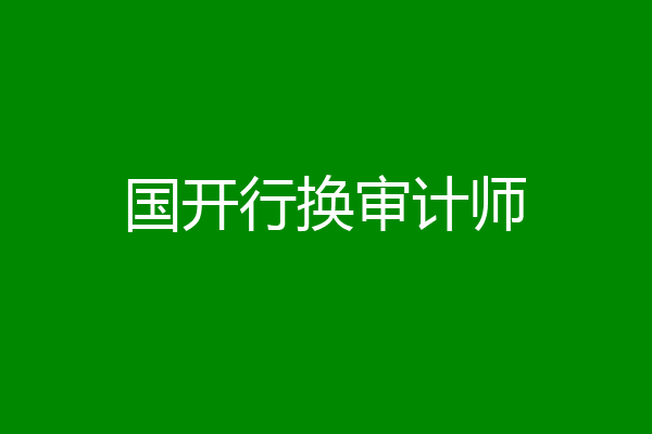 国开行换审计师