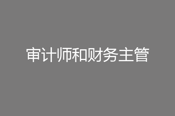 审计师和财务主管