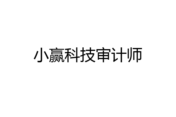小赢科技审计师