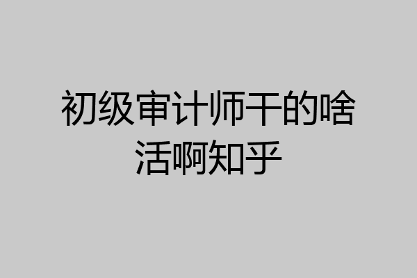 初级审计师干的啥活啊知乎