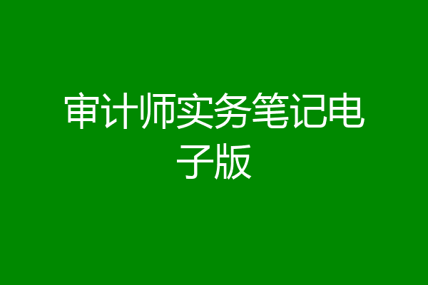 审计师实务笔记电子版