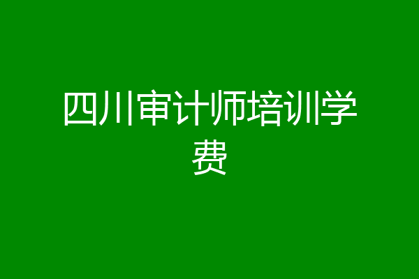四川审计师培训学费