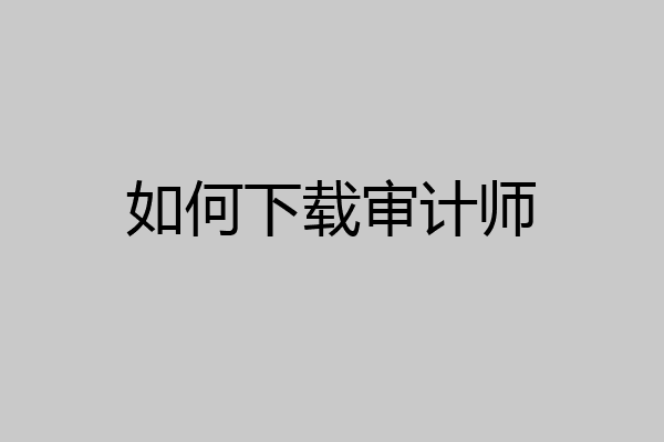 如何下载审计师