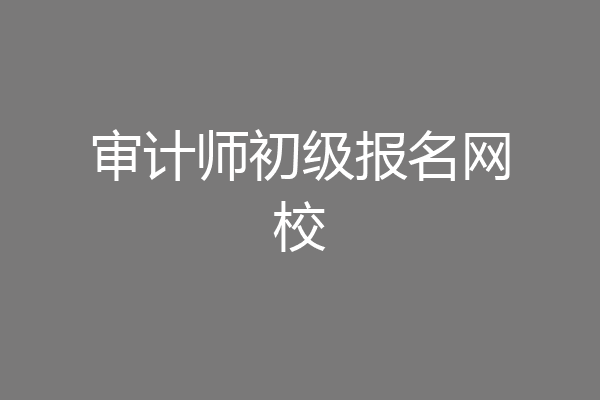 审计师初级报名网校