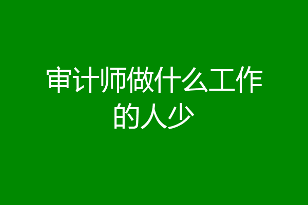 审计师做什么工作的人少