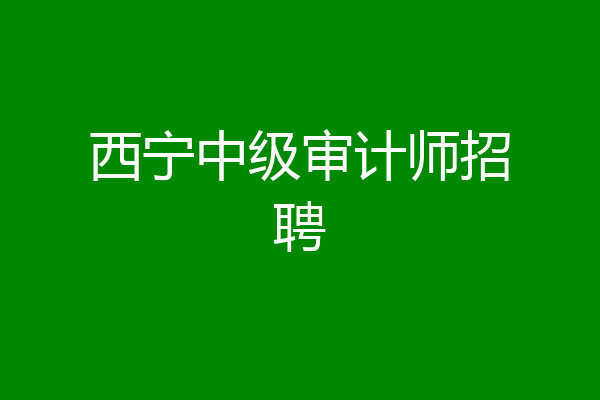 西宁中级审计师招聘