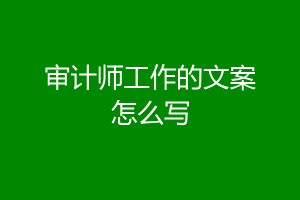 审计师工作的文案怎么写