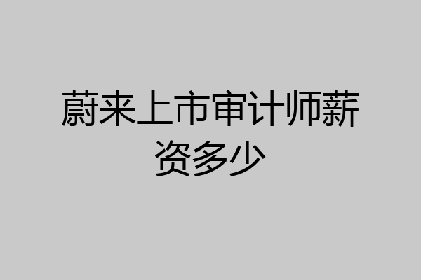 蔚来上市审计师薪资多少