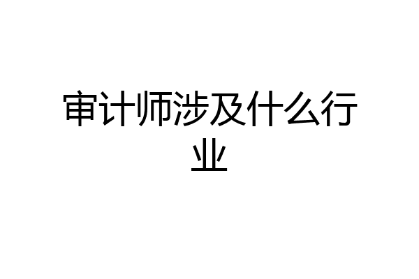审计师涉及什么行业