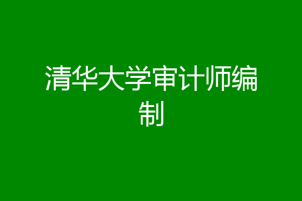 清华大学审计师编制