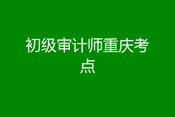 初级审计师重庆考点