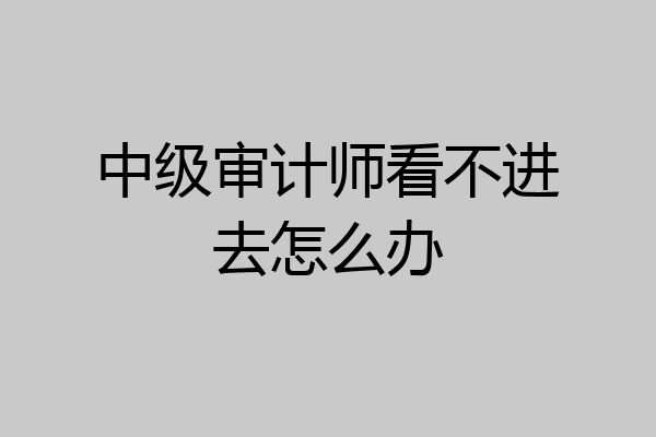 中级审计师看不进去怎么办