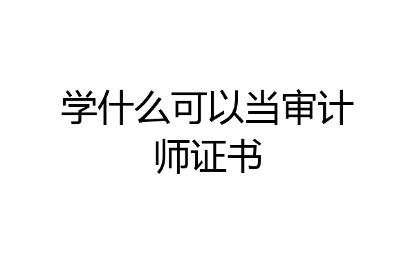 学什么可以当审计师证书